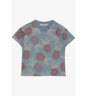 Jack Lions Erkek Çocuk Tişört Ananas Desenli 1.5-5 Yaş, İndigo
