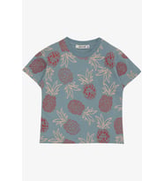 Jack Lions Erkek Çocuk Tişört Ananas Desenli 1.5-5 Yaş, İndigo