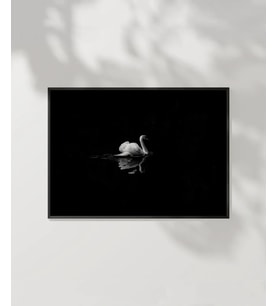 1. Zarif Kuğu Poster