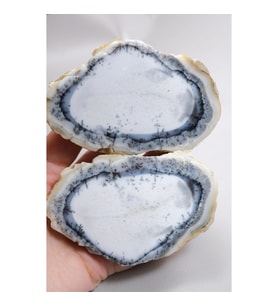 Beyaz ve Mavi Merlinit – Dumanlı Mavi Bantlı Dendritik Opal, 380g