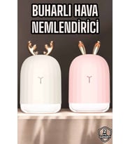 Hava Nemlendirici Aromaterapi Hava Temizleyici Renk Değiştirebilen - Lisinya