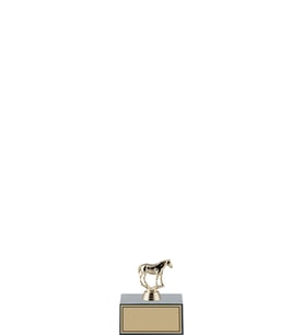 ODAK KUPA - Hediyelik Ürünler - HDY-045 C - 10 cm
