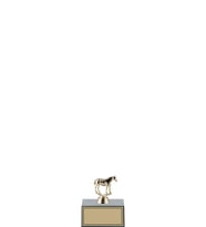 ODAK KUPA - Hediyelik Ürünler - HDY-045 C - 10 cm
