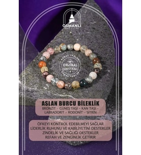Aslan Burcu Bileklik Bronzit, Güneş Taşı, Kan Taşı, Labradorit, Rodonit, Sitrin