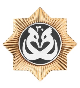 Payitaht Abdülhamid Dizisi Hudhud Kuşu Broşu