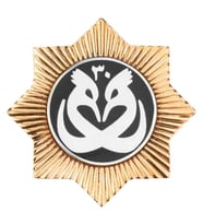 Payitaht Abdülhamid Dizisi Hudhud Kuşu Broşu