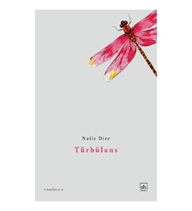 Türbülans