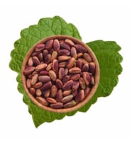 İç Antep Fıstığı Çiğ 300 g