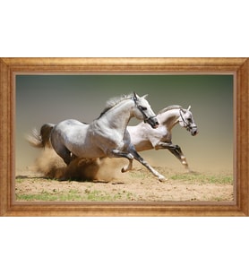 EV İŞYERİ OFİS İÇİN ALTIN ÇERÇEVELİ PASPARTULU TABLO VB783