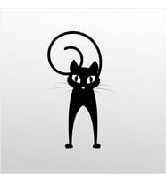 Folyo Sticker Şaşkın Kedi 20cm uzunluk (Karışık)