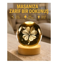 Mey İthalat® Bitki Temalı LED Işıklı Cam Küre Ahşap Standlı Modern Gece Lambası