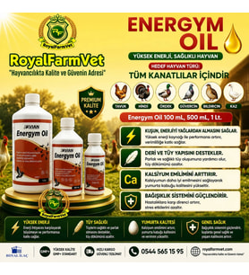 Tüm Kanatlılar ve Güvercinler için Energym Oil 500 Ml. Üstün Kaliteli Yağlar