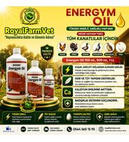 Tüm Kanatlılar ve Güvercinler için Energym Oil 500 Ml. Üstün Kaliteli Yağlar
