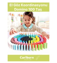 Özel Üretim Zeka Geliştirici Eğitici El Göz Koordinasyonu  Domino 100 Taş