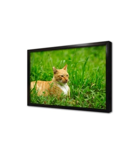 Kedi Çerçeveli Mdf Tablo