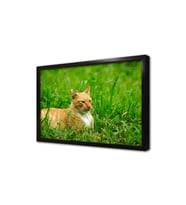 Kedi Çerçeveli Mdf Tablo