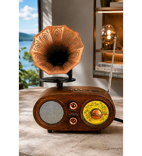 NNS NS-803BT Kahverengi Retro Radyo Bluetooth Hoparlör USB TF Kart Şarjlı Nostaljik Radyo