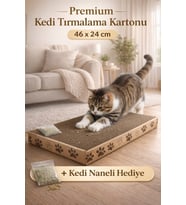 46x24 cm LARGE Kedi Tırmalama Kartonu  Çift Taraflı Dayanıklı Oluklu Karton + Catnip Hediyeli