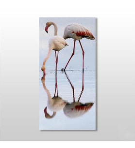 Pelikan Kanvas Tablo 120x180cm (Karışık)
