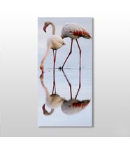 Pelikan Kanvas Tablo 120x180cm (Karışık)