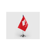 Kırmızı Göktürk Türk Yazılı Tekli Saten Masa Bayrağı Seti
