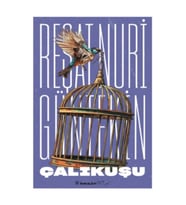 İnkılap Çalıkuşu - Reşat Nuri Güntekin