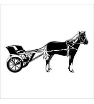 AT FOLYO STİCKER 70cm Uzunluk (Karışık)