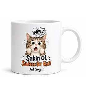 Kedi Korkusu Ailurofobi Miyav Sesinden İrkilme Esprili Kupa Bardak Hediye