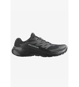 Salomon Alphaglıde Gore-Tex Erkek Patika Koşusu Ayakkabısı (Siyah)