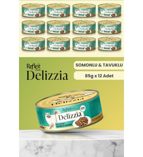 Plus Delizzia / Sos İçinde Parça Etli Somonlu & Tavuklu Yetişkin Kedi Maması 85g x 12 Adet