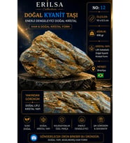 Sertifikalı Premium Doğal Kyanit Taşı Kütle – Ham Kristal Koleksiyonluk Dekor Mineral NO12