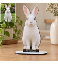 Kişiye Özel Fotoğraflı Evcil Hayvan Fotoğraflı MDF Karikatürlü 18 cm MDF Masaüstü Biblo - Masaüstü Hediye 5. Model