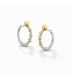 İkili Işıltı – Gold & Silver Halka Küpe