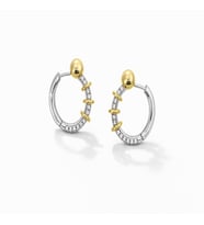 İkili Işıltı – Gold & Silver Halka Küpe