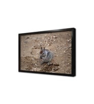 Sincap Çerçeveli Mdf Tablo