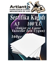A3 Sertifika Kağıdı Kalın 100 Adet Gramajlı Fotokopi Kağıdı 160 gr Tüm Yazıcılara Uyumlu 29.7x42 cm Kalın Baskı Kağıdı (Beyaz)
