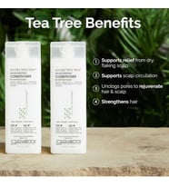 Giovanni Tea Tree Triple Treat Canlandırıcı Saç Kremi 250Ml