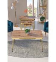 Zigon Sehpa Kr Ve Orta Sehpa Kr Set Gold Ceviz Tel 1108