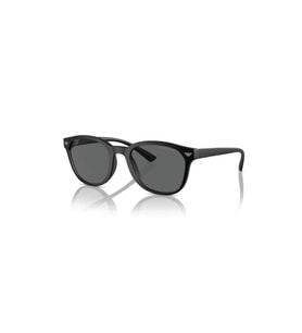 EMPORİO ARMANİ EA4225U 500187 53 GÜNEŞ GÖZLÜĞÜ
