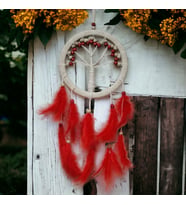 Rüya Hayat Ağacı Dream Catcher