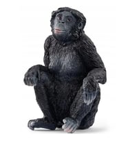 Mey İthalat® Bonobo