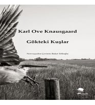 Gökteki Kuşlar