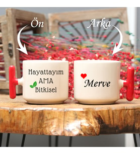 “Hayattayım Ama Bitkisel” Mottolu Renkli T Kulplu Kupa Bardak