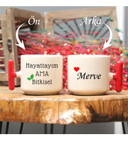 “Hayattayım Ama Bitkisel” Mottolu Renkli T Kulplu Kupa Bardak