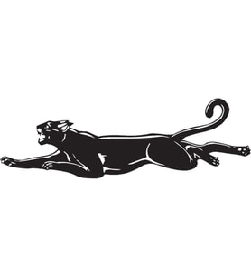 PANTER FOLYO STİCKER 50cm Uzunluk (Karışık)