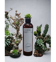 Pro Mac  Nash  Koku Makİnasi-Dİffuser  Esans Yaği 250 Ml. Her Makİnaya Uygun