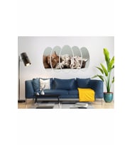 KEDİ MDF TABLO-2550