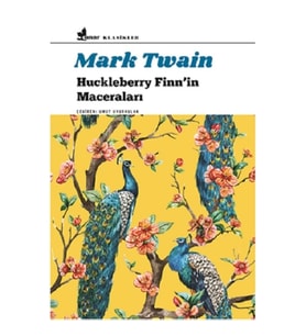 Huckleberry Finn'in Maceraları