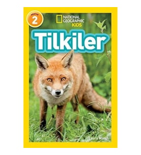 Tilkiler - Seviye 2