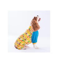 Pawstar Köpek Ice Creams Pyjamas Medium Sırt28cm Göğüs41cm Boyun26cm
